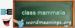 WordMeaning blackboard for class mammalia